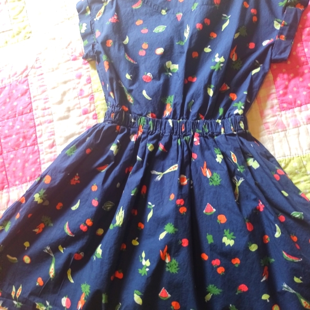 Crewcuts Navy Dress with Fruit